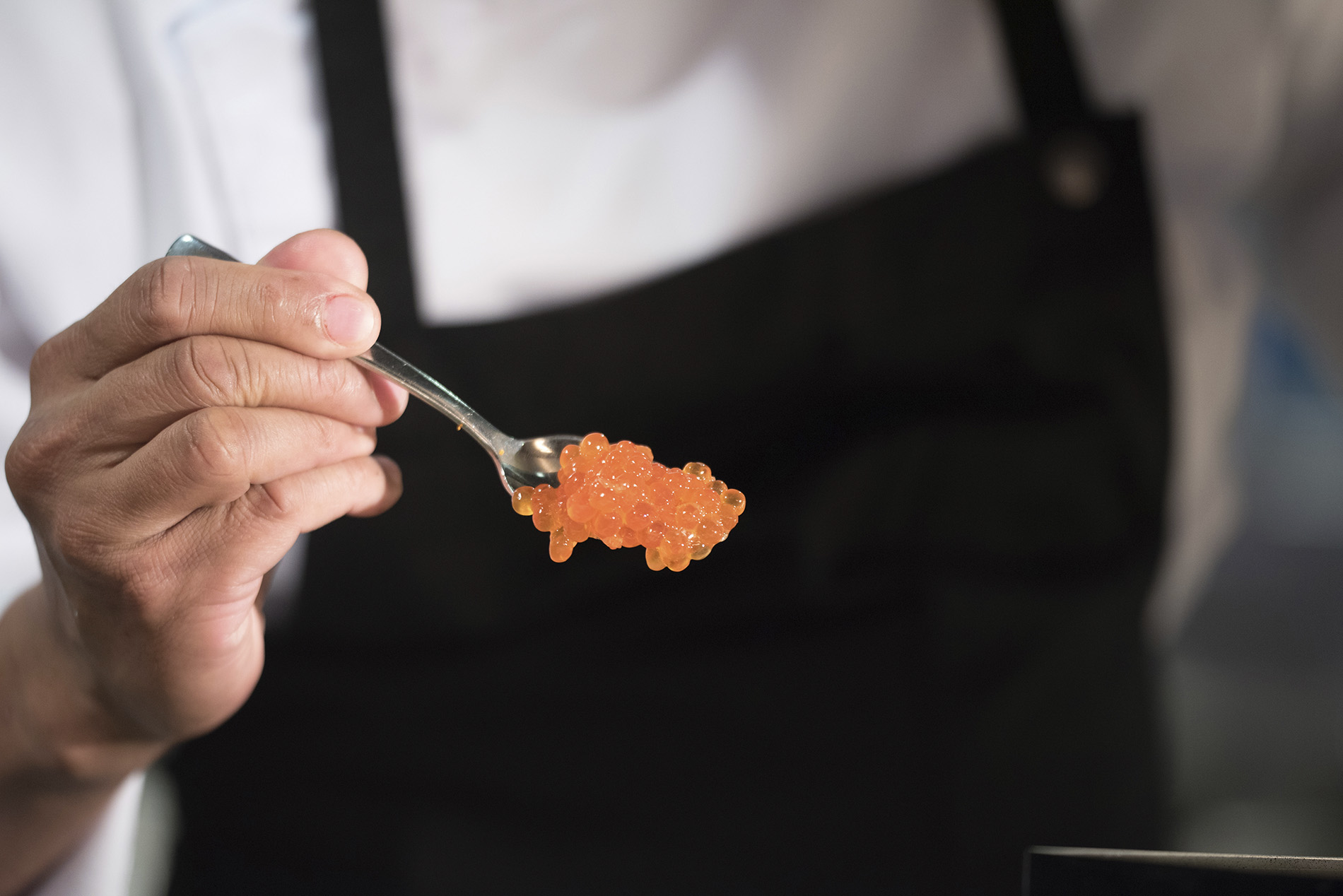 Scenic Eclipse II - Sushi & Sake Bar @ Koko's